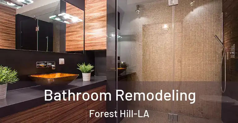 inner Bathroom imggen Bathroom Remodeling Forest Hill-LA