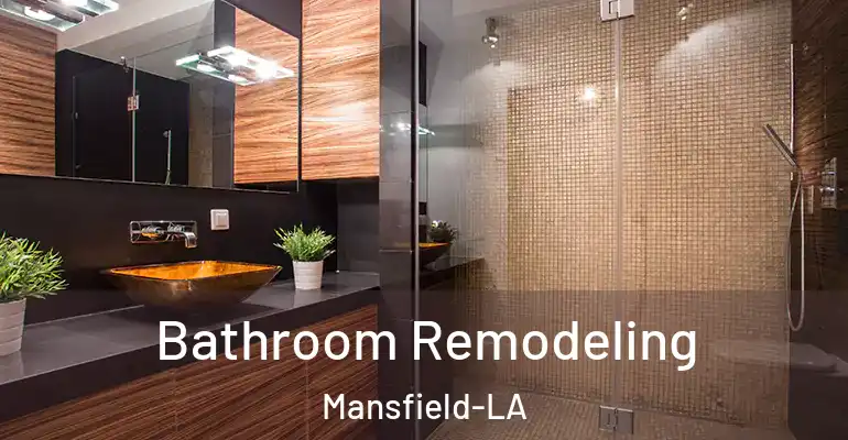 inner Bathroom imggen Bathroom Remodeling Mansfield-LA