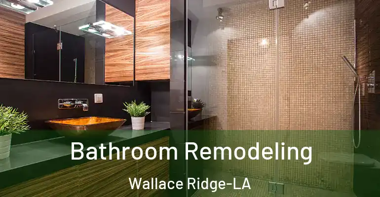 inner Bathroom imggen Bathroom Remodeling Wallace Ridge-LA