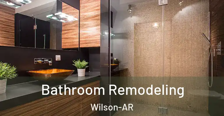 inner Bathroom imggen Bathroom Remodeling Wilson-AR