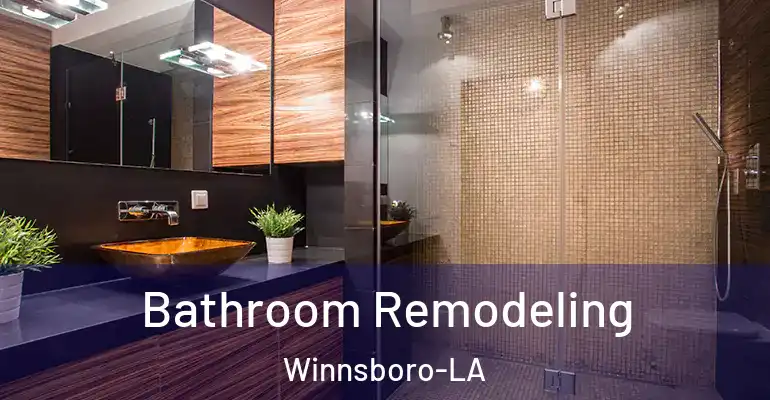 inner Bathroom imggen Bathroom Remodeling Winnsboro-LA