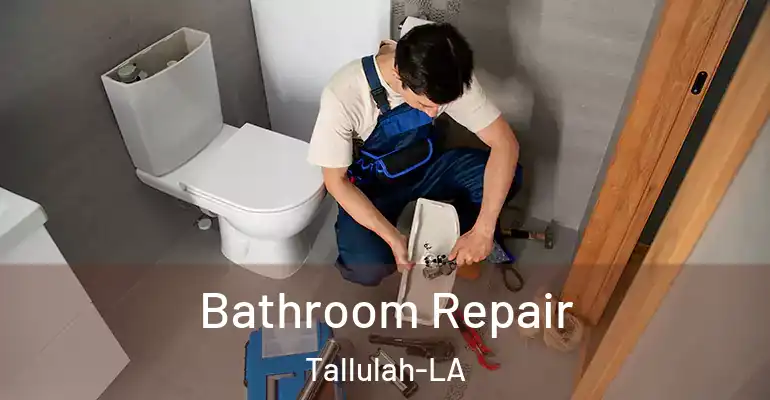 inner Bathroom imggen Bathroom Repair Tallulah-LA