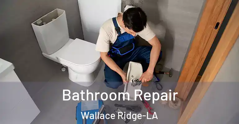 inner Bathroom imggen Bathroom Repair Wallace Ridge-LA