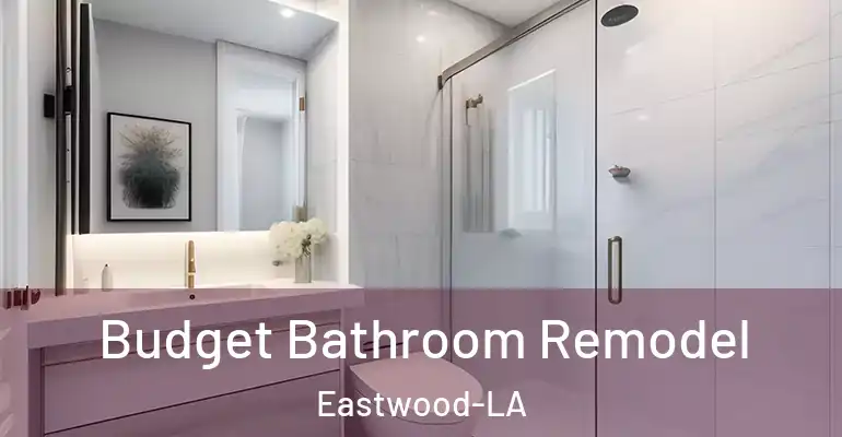 inner Bathroom imggen Budget Bathroom Remodel Eastwood-LA