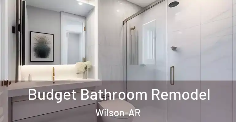 inner Bathroom imggen Budget Bathroom Remodel Wilson-AR