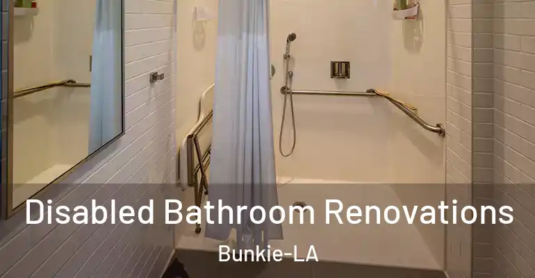 inner Bathroom imggen Disabled Bathroom Renovations Bunkie-LA