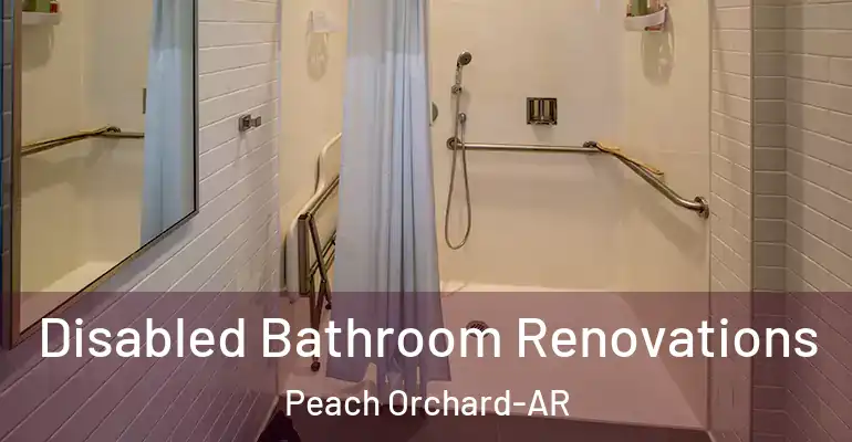 inner Bathroom imggen Disabled Bathroom Renovations Peach Orchard-AR