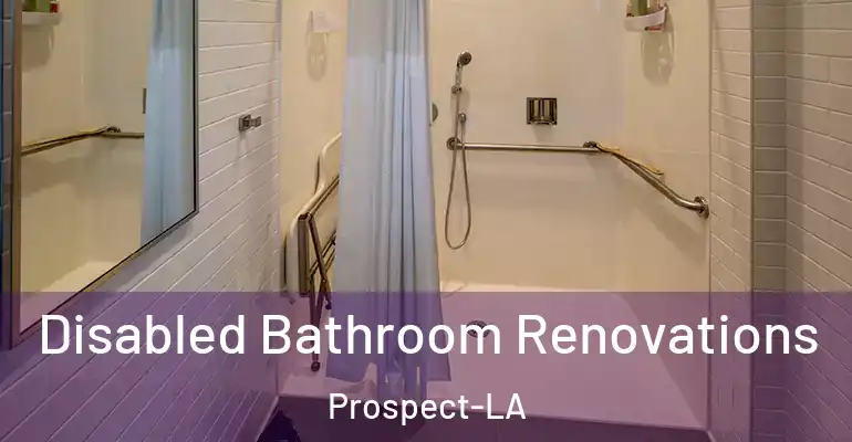 inner Bathroom imggen Disabled Bathroom Renovations Prospect-LA