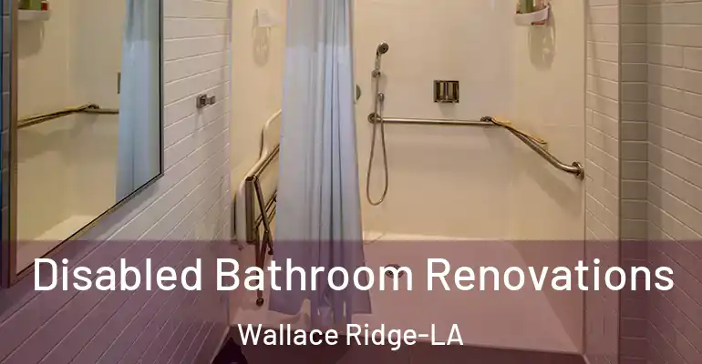 inner Bathroom imggen Disabled Bathroom Renovations Wallace Ridge-LA