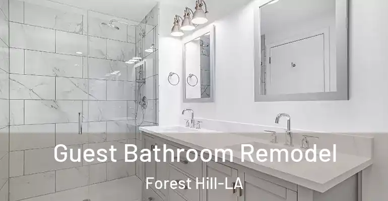 inner Bathroom imggen Guest Bathroom Remodel Forest Hill-LA