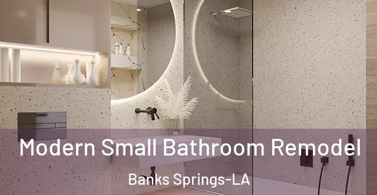 inner Bathroom imggen Modern Small Bathroom Remodel Banks Springs-LA