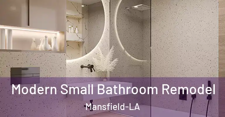 inner Bathroom imggen Modern Small Bathroom Remodel Mansfield-LA