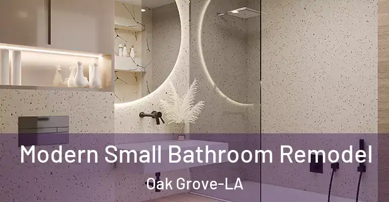 inner Bathroom imggen Modern Small Bathroom Remodel Oak Grove-LA