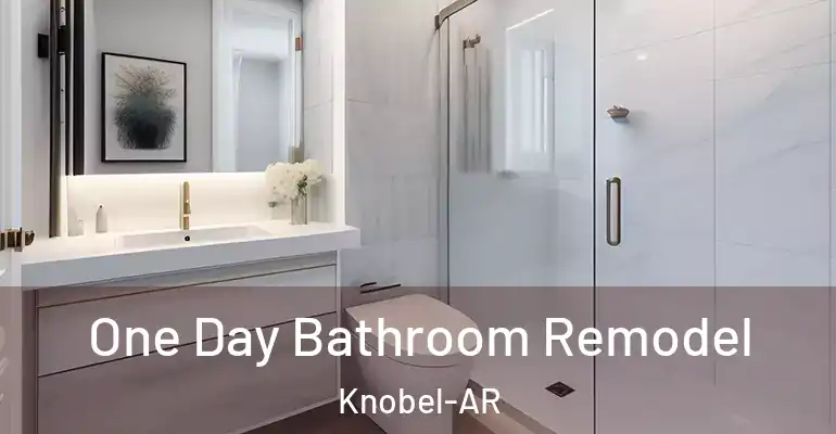 inner Bathroom imggen One Day Bathroom Remodel Knobel-AR