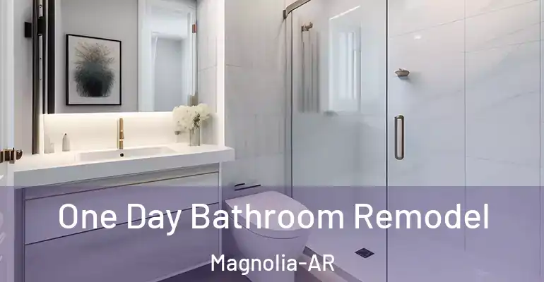 inner Bathroom imggen One Day Bathroom Remodel Magnolia-AR