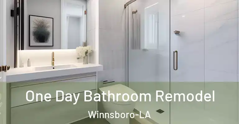 inner Bathroom imggen One Day Bathroom Remodel Winnsboro-LA