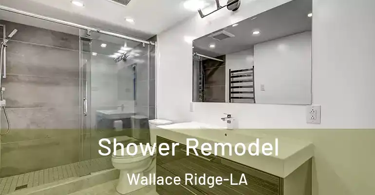 inner Bathroom imggen Shower Remodel Wallace Ridge-LA
