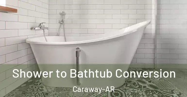 inner Bathroom imggen Shower to Bathtub Conversion Caraway-AR