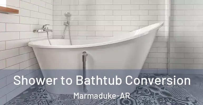 inner Bathroom imggen Shower to Bathtub Conversion Marmaduke-AR