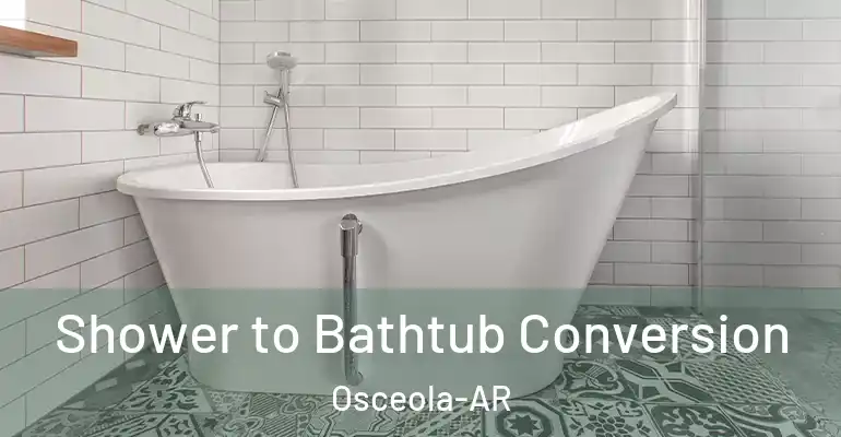 inner Bathroom imggen Shower to Bathtub Conversion Osceola-AR