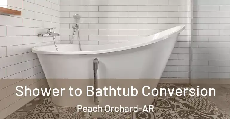 inner Bathroom imggen Shower to Bathtub Conversion Peach Orchard-AR