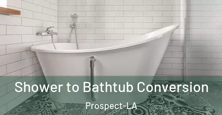 inner Bathroom imggen Shower to Bathtub Conversion Prospect-LA