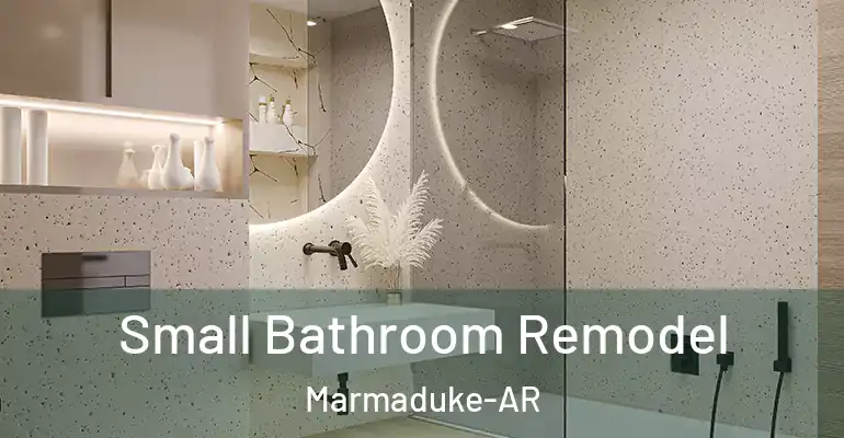 inner Bathroom imggen Small Bathroom Remodel Marmaduke-AR