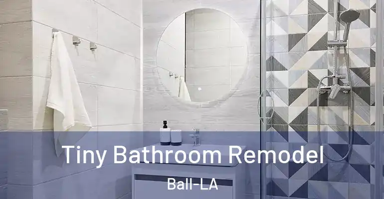 inner Bathroom imggen Tiny Bathroom Remodel Ball-LA