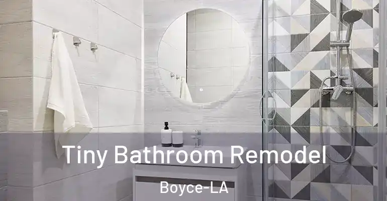 inner Bathroom imggen Tiny Bathroom Remodel Boyce-LA