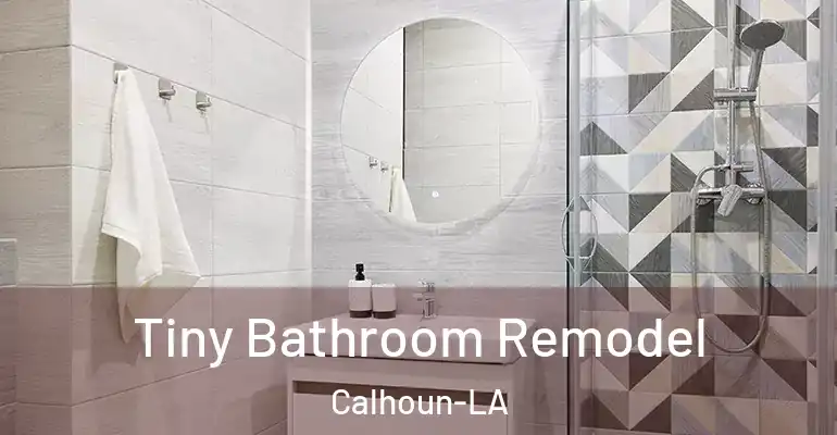 inner Bathroom imggen Tiny Bathroom Remodel Calhoun-LA