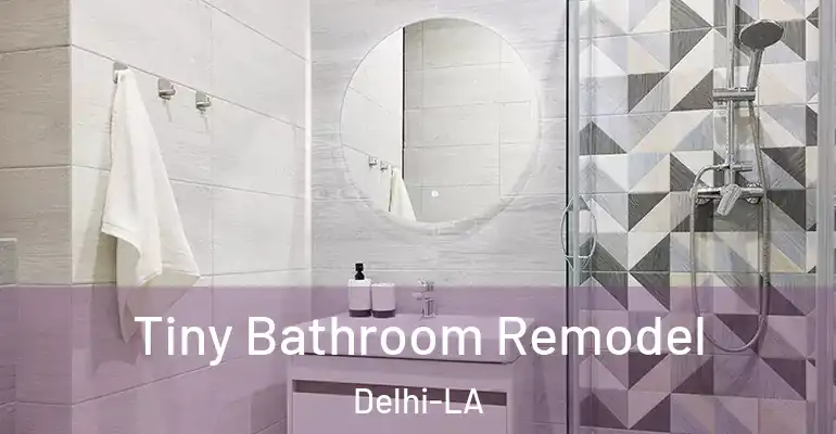 inner Bathroom imggen Tiny Bathroom Remodel Delhi-LA