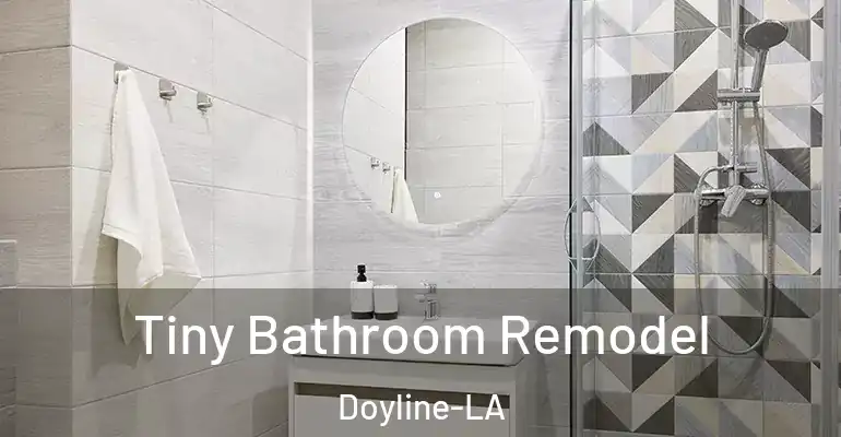 inner Bathroom imggen Tiny Bathroom Remodel Doyline-LA