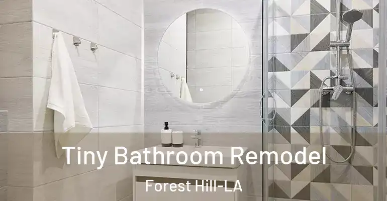 inner Bathroom imggen Tiny Bathroom Remodel Forest Hill-LA