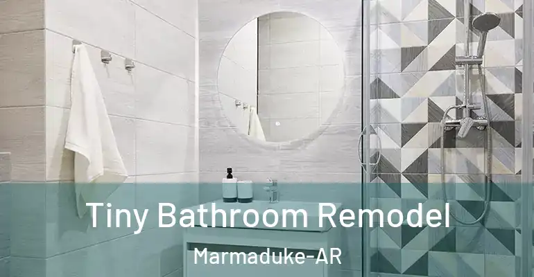 inner Bathroom imggen Tiny Bathroom Remodel Marmaduke-AR