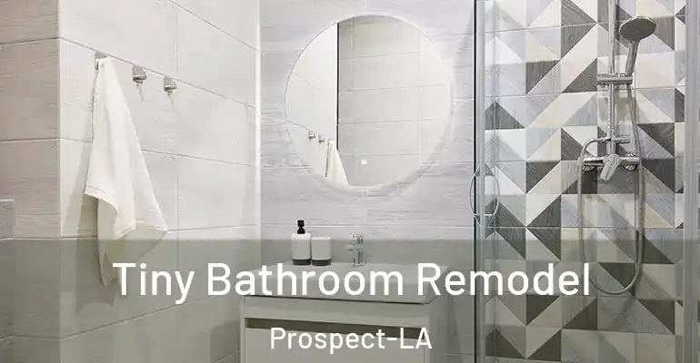 inner Bathroom imggen Tiny Bathroom Remodel Prospect-LA