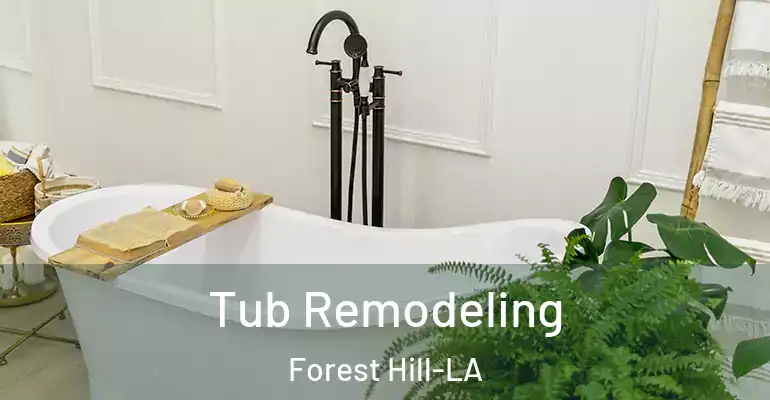 inner Bathroom imggen Tub Remodeling Forest Hill-LA