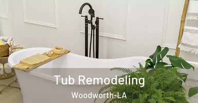 inner Bathroom imggen Tub Remodeling Woodworth-LA