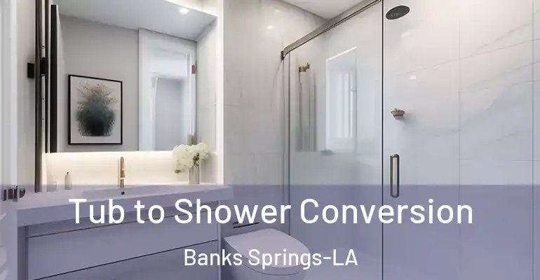 inner Bathroom imggen Tub to Shower Conversion Banks Springs-LA