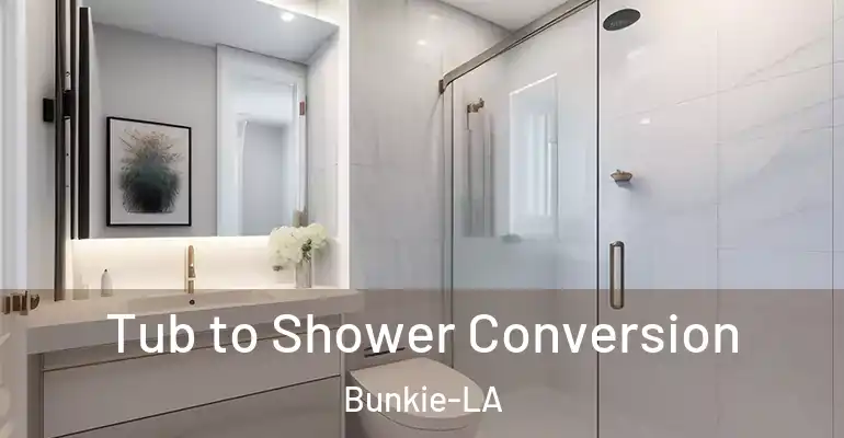 inner Bathroom imggen Tub to Shower Conversion Bunkie-LA