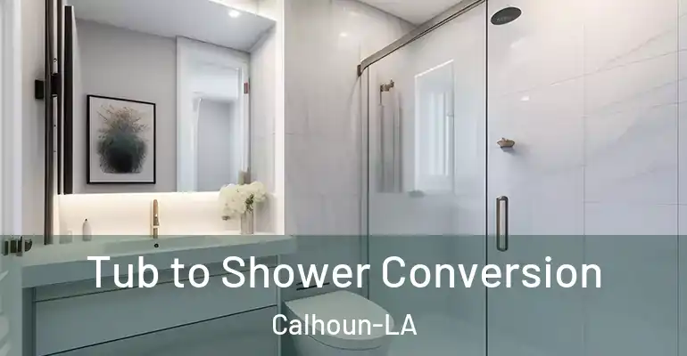 inner Bathroom imggen Tub to Shower Conversion Calhoun-LA