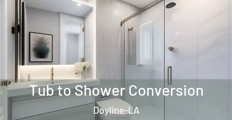 inner Bathroom imggen Tub to Shower Conversion Doyline-LA