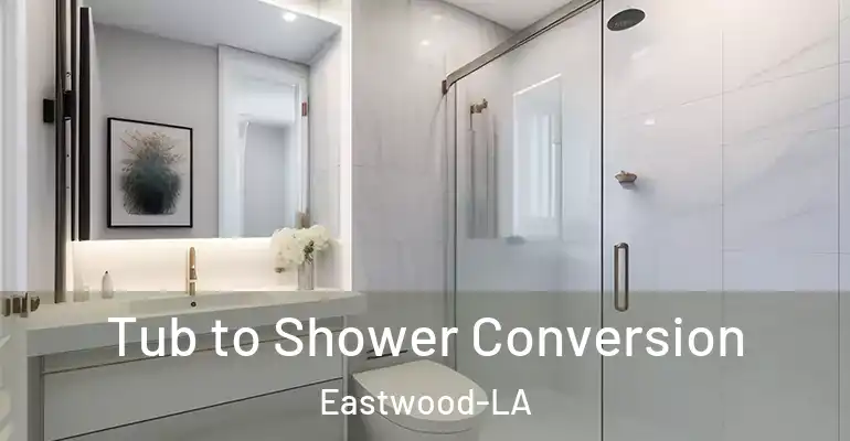 inner Bathroom imggen Tub to Shower Conversion Eastwood-LA