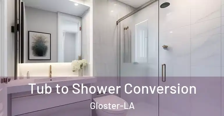 inner Bathroom imggen Tub to Shower Conversion Gloster-LA
