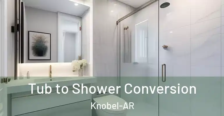inner Bathroom imggen Tub to Shower Conversion Knobel-AR