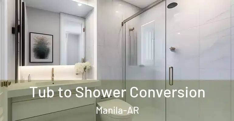 inner Bathroom imggen Tub to Shower Conversion Manila-AR