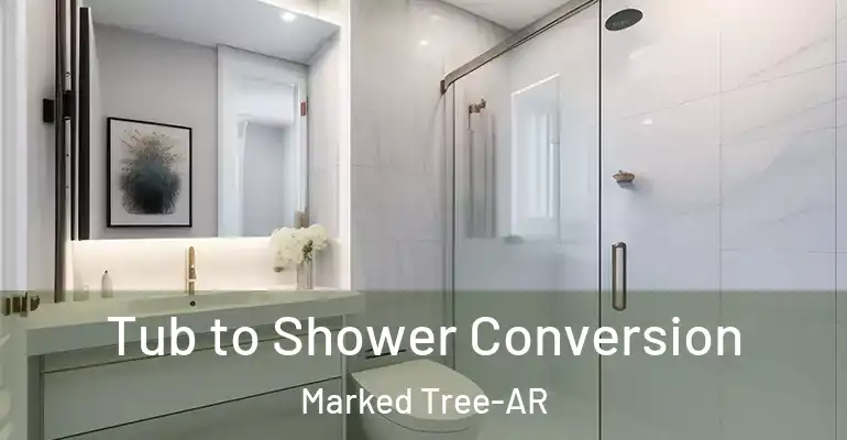 inner Bathroom imggen Tub to Shower Conversion Marked Tree-AR