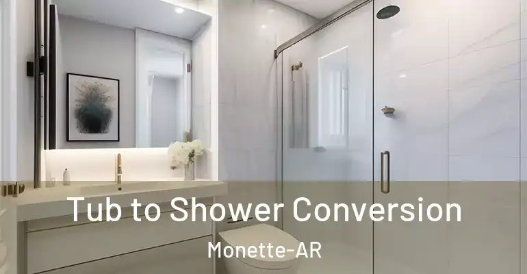 inner Bathroom imggen Tub to Shower Conversion Monette-AR