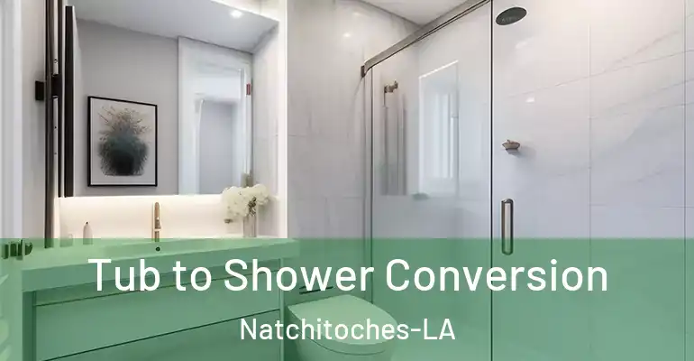 inner Bathroom imggen Tub to Shower Conversion Natchitoches-LA