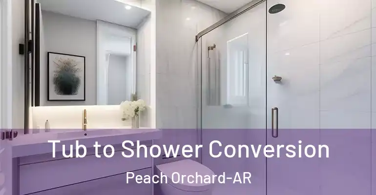 inner Bathroom imggen Tub to Shower Conversion Peach Orchard-AR