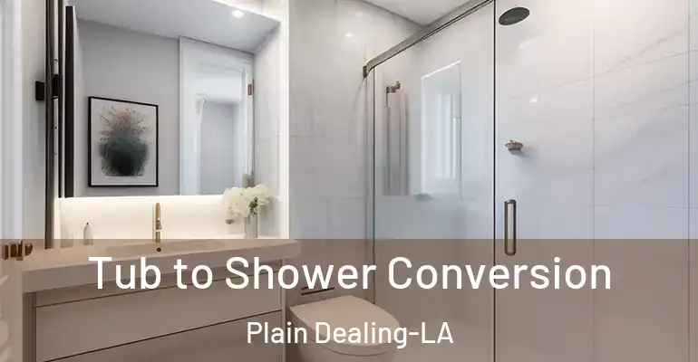 inner Bathroom imggen Tub to Shower Conversion Plain Dealing-LA